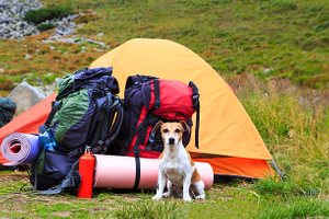 camping and hiking-2